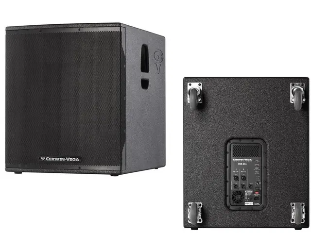 Cerwin Vega CVX-21s
