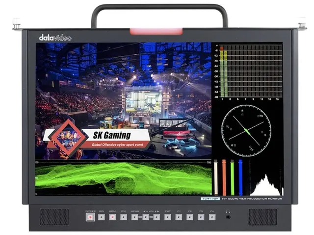 Datavideo TLM-170VM