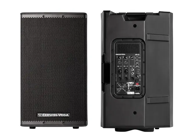 Cerwin Vega CVX-15
