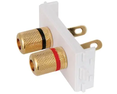 Vertx AVLink Repro